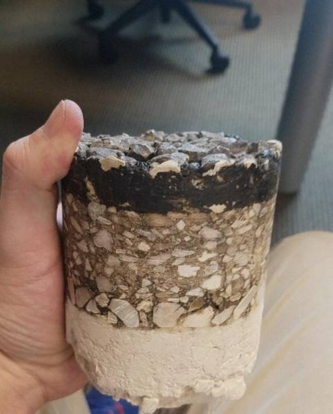 Интересные снимки обо всём на свете (21 фото)