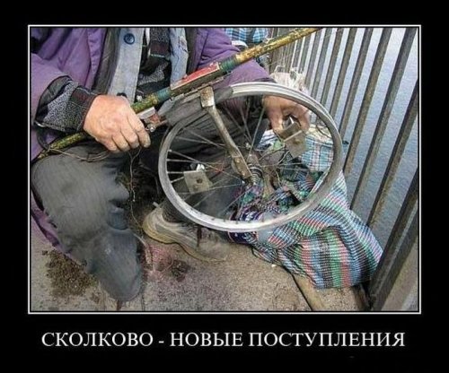 1528267184_demotivatory-5.jpg
