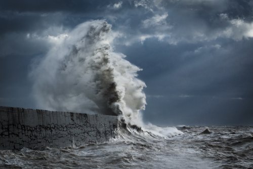 Морские волны в фотографиях Рейчел Талибарт (19 фото)
