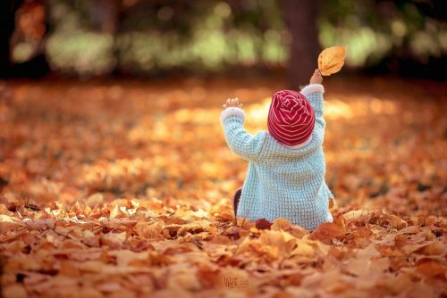 Осенняя красота в фотографиях (12 фото)