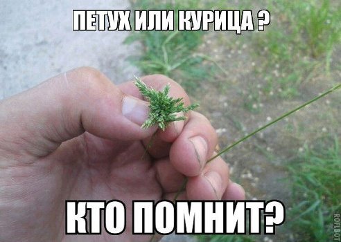 Смешные анекдоты для всех (13 шт)