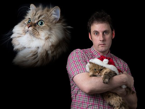 Крутейшая коллекция фотографий мужчин, позирующих с кошками! (19 фото)