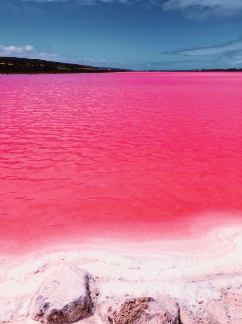 Волшебство розовой лагуны Hutt Lagoon в фотографиях Кристины Макеевой (20 фото)