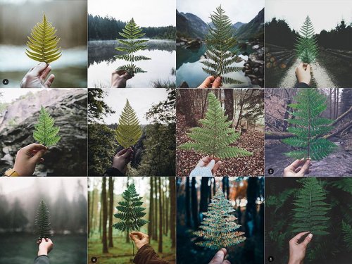 ИнстаПовтор: Instagram-аккаунт, высмеивающий однообразие фотографий, публикуемых в сети (35 фото)