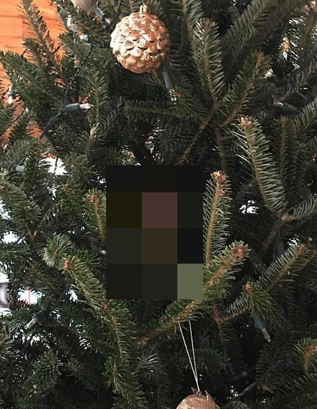 Елочное украшение не отказалось от кусочка курицы (5 фото)