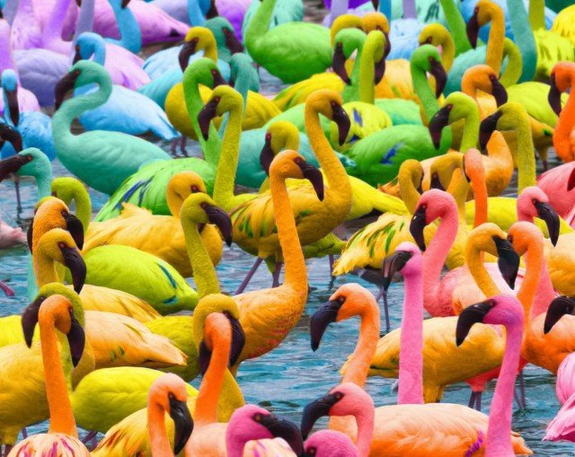 Весь мир в радужном цвете (27 фото)