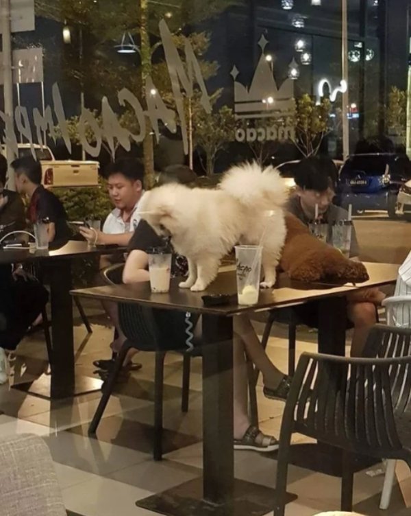 Некоторым людям нужно запретить посещать кафе и рестораны