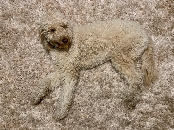 Когда режим маскировки ─ на максималках (25 фото)