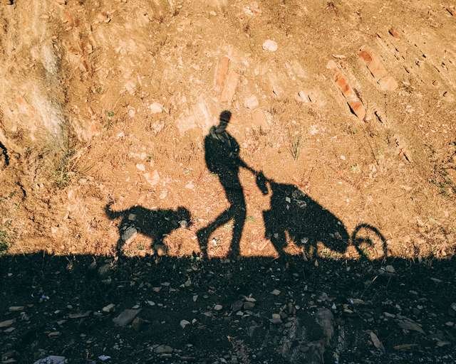 Парень взял свою собаку на самую эпичную прогулку – прогулку вокруг света (6 фото)