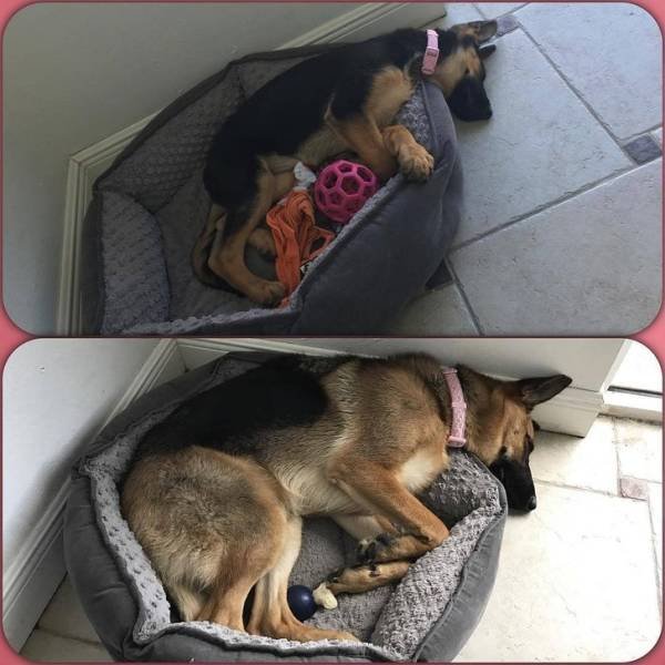 Некоторые вещи со временем не меняются (17 фото)