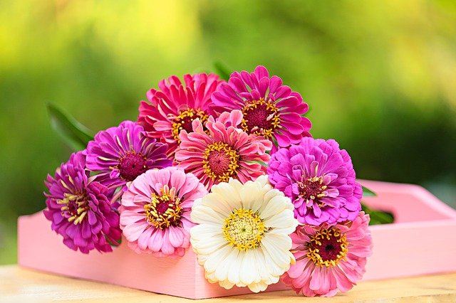 Стихи Рубальской о женщине в возрасте