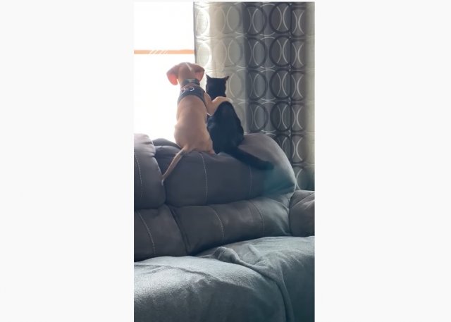 Вместе интереснее