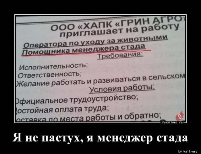 Свежая порция демотиваторов (23 фото)