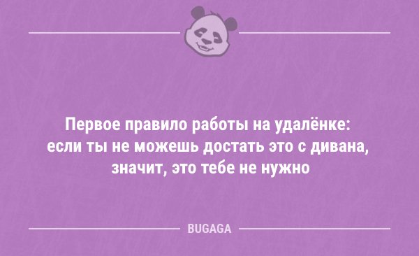 Новые анекдоты для поднятия настроения (13 шт)