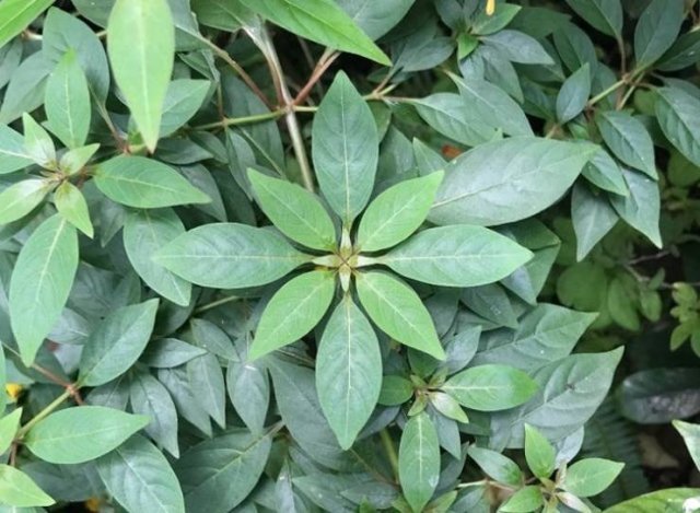 Рай для перфекционистов (15 фото)