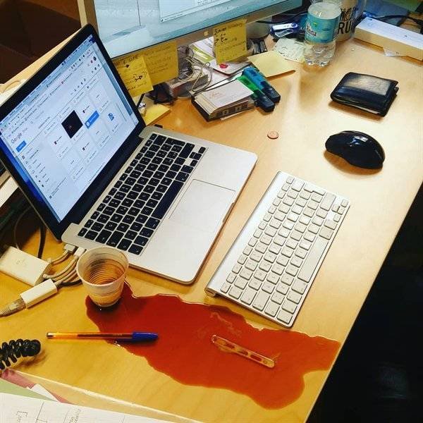 Как выглядит везение (16 фото)