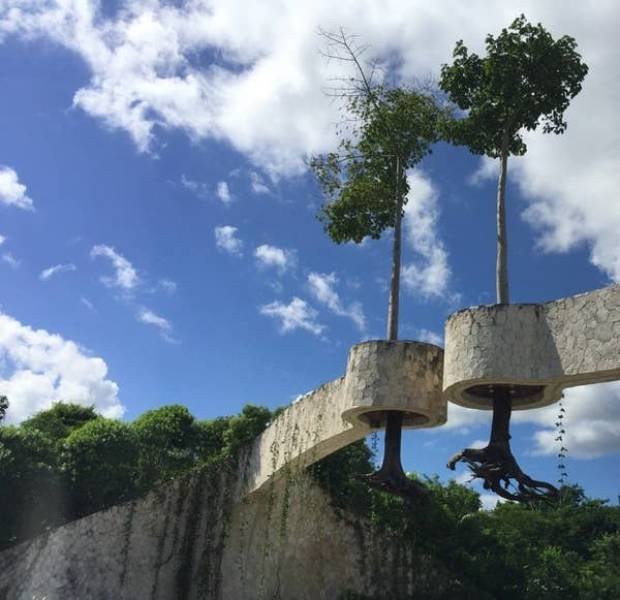 Такое не каждый день увидишь (12 фото)