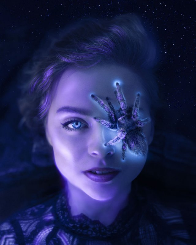 Волшебные светящиеся фотоманипуляции Анны Макнот (16 фото)