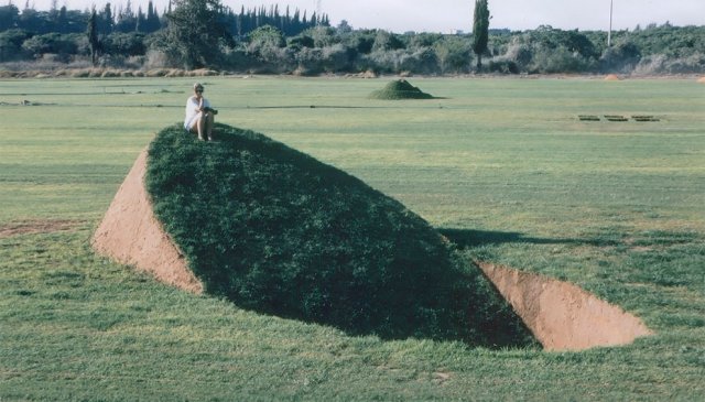 Необычный лэнд-арт во Франции (4 фото)