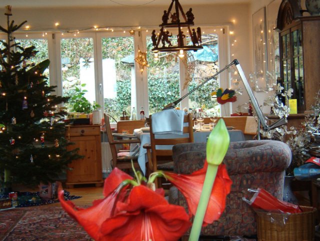 Скучно сидеть дома? Попробуйте найти кошку на каждой из этих фотографий! (21 фото)