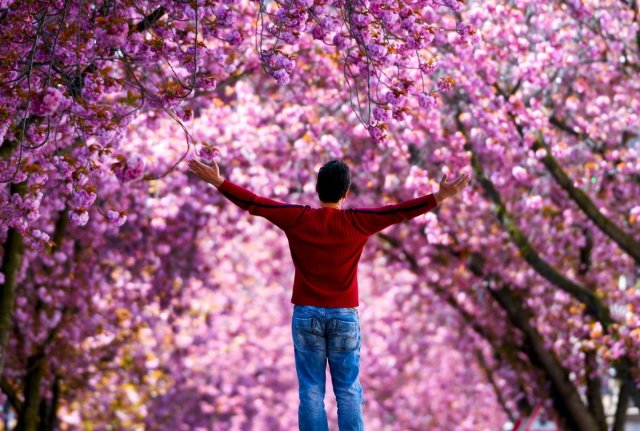 17 фотографий наступающей весны для тех, кто из-за карантина не может выйти на улицу