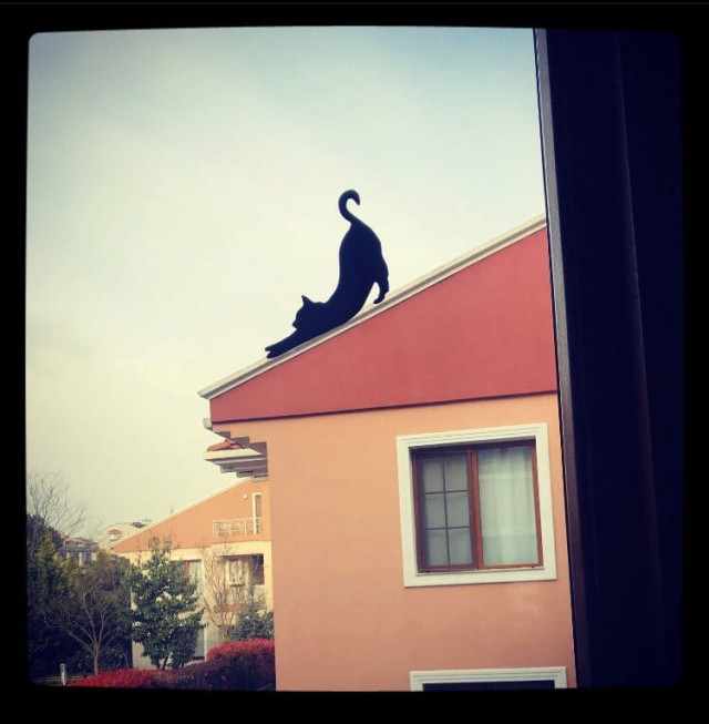 Испанский уличный художник Pejac запустил арт-проект, призвав всех желающих превратить свои окна в художественные холсты (14 фото)