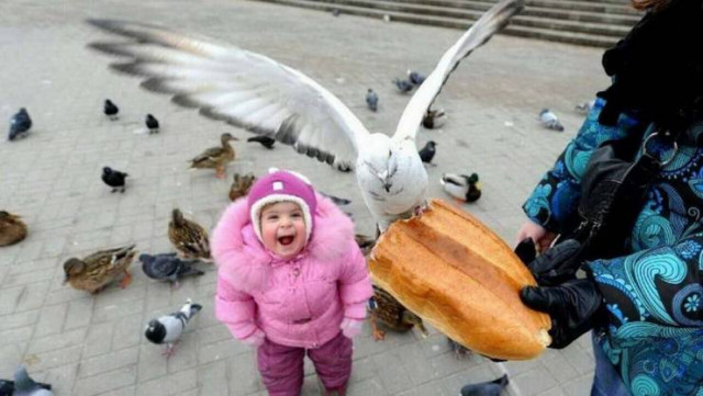 Субботний позитив в прикольных картинках (30 шт)