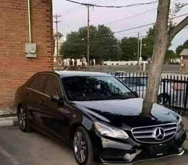 Когда видишь то, чего на самом деле нет (23 фото)