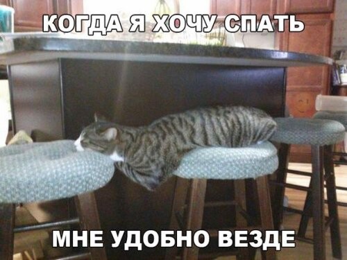 Анекдоты на каждый день (2010-03-30)