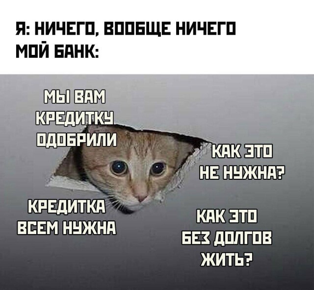 Новые анекдоты (23 шт)