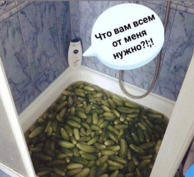 Анекдоты на каждый день (2009-01-09)