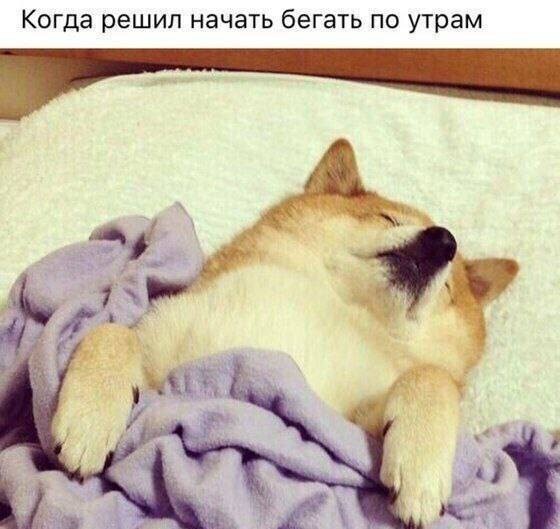 Забавные анекдоты