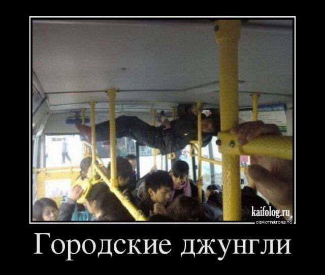 Подборка забавных демотиваторов обо всем подряд