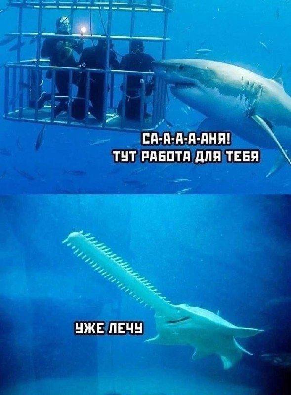 Мемы и приколы для небольшого перерыва