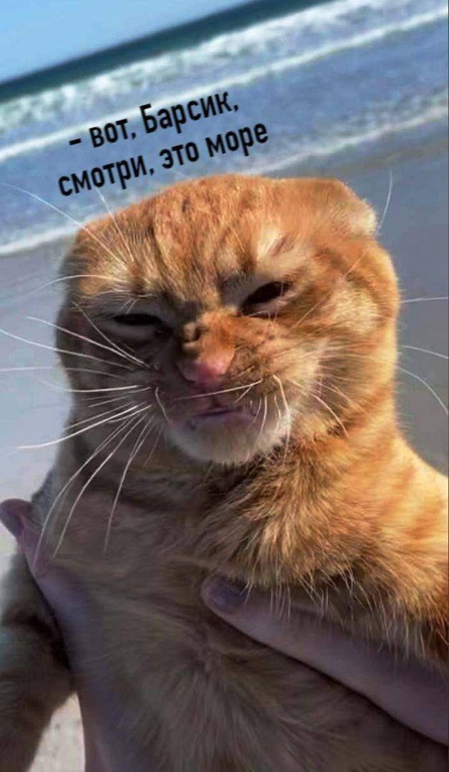 Вроде ничего не делал, а устал