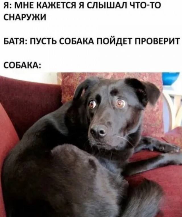 Немного хаоса, пожалуйста — приколы | Bugaga