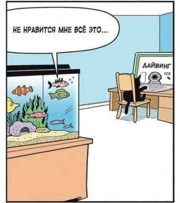 Когда жизнь подкидывает сюрпризы — смешные фото и мемы | Bugaga