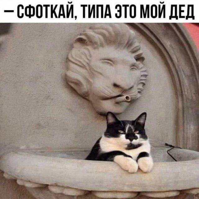 Когда шутки заходят лучше, чем новости — смешные фото | Bugaga