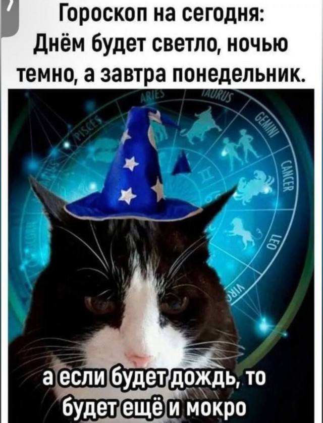 Просто мемы без причины — смешные фото | Bugaga