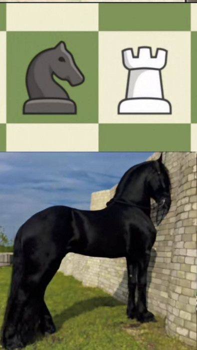 Простые радости с юмором — фото и мемы | Bugaga