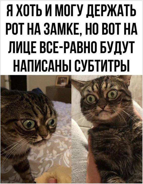 Случайный юмор — смешные мемы | Bugaga