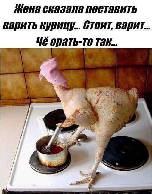 Всё пошло по плану (почти) — смешные фото и мемы | Bugaga