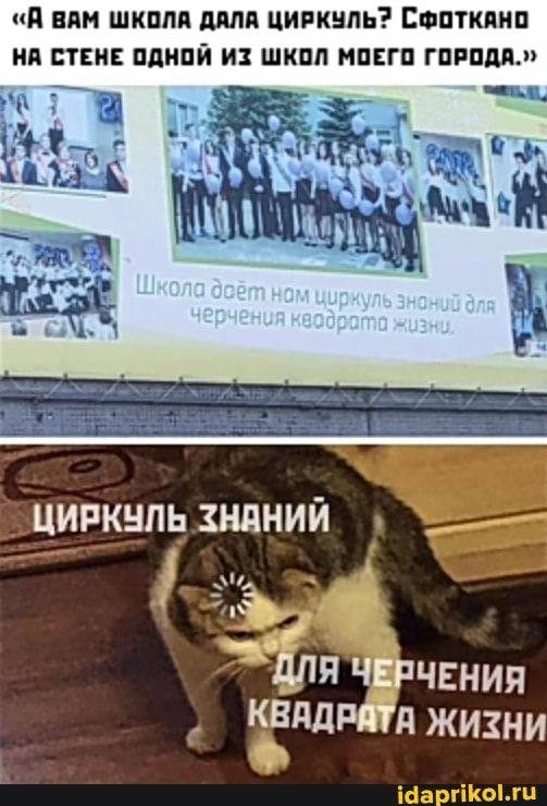 Жизнь бывает странной, зато мемы получаются смешными
