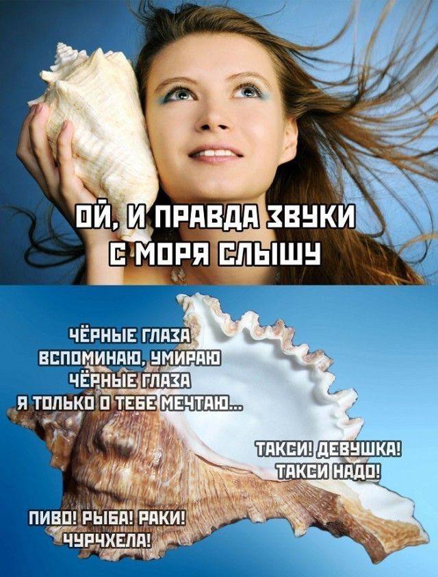 Немного безумия, щепотка иронии и целая куча мемов