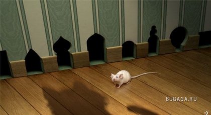 Увеличить картинку