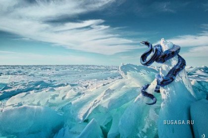 Увеличить картинку