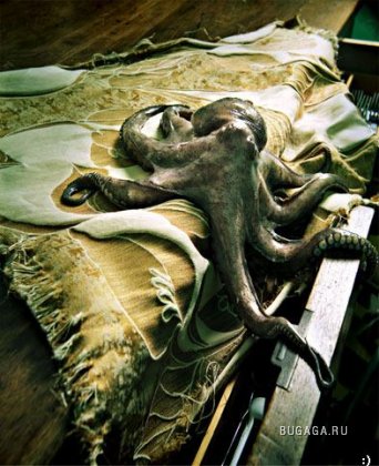 Увеличить картинку