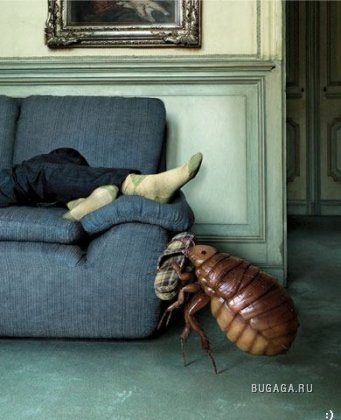 Увеличить картинку