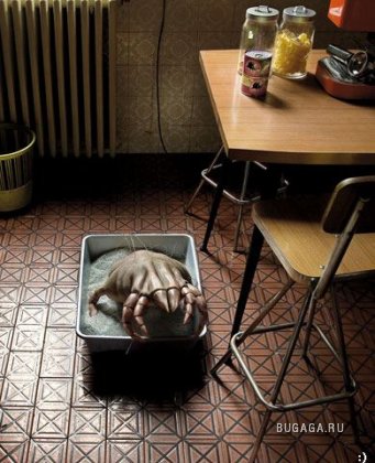 Увеличить картинку