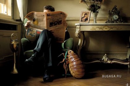 Увеличить картинку